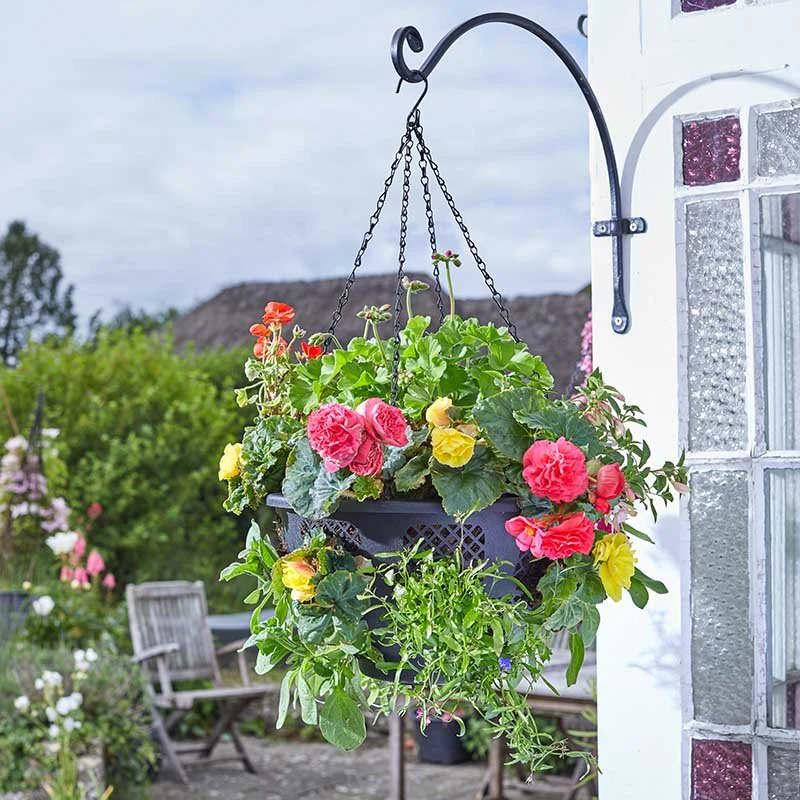 Smart Garden 15” FlowerPro Basket - Image 2