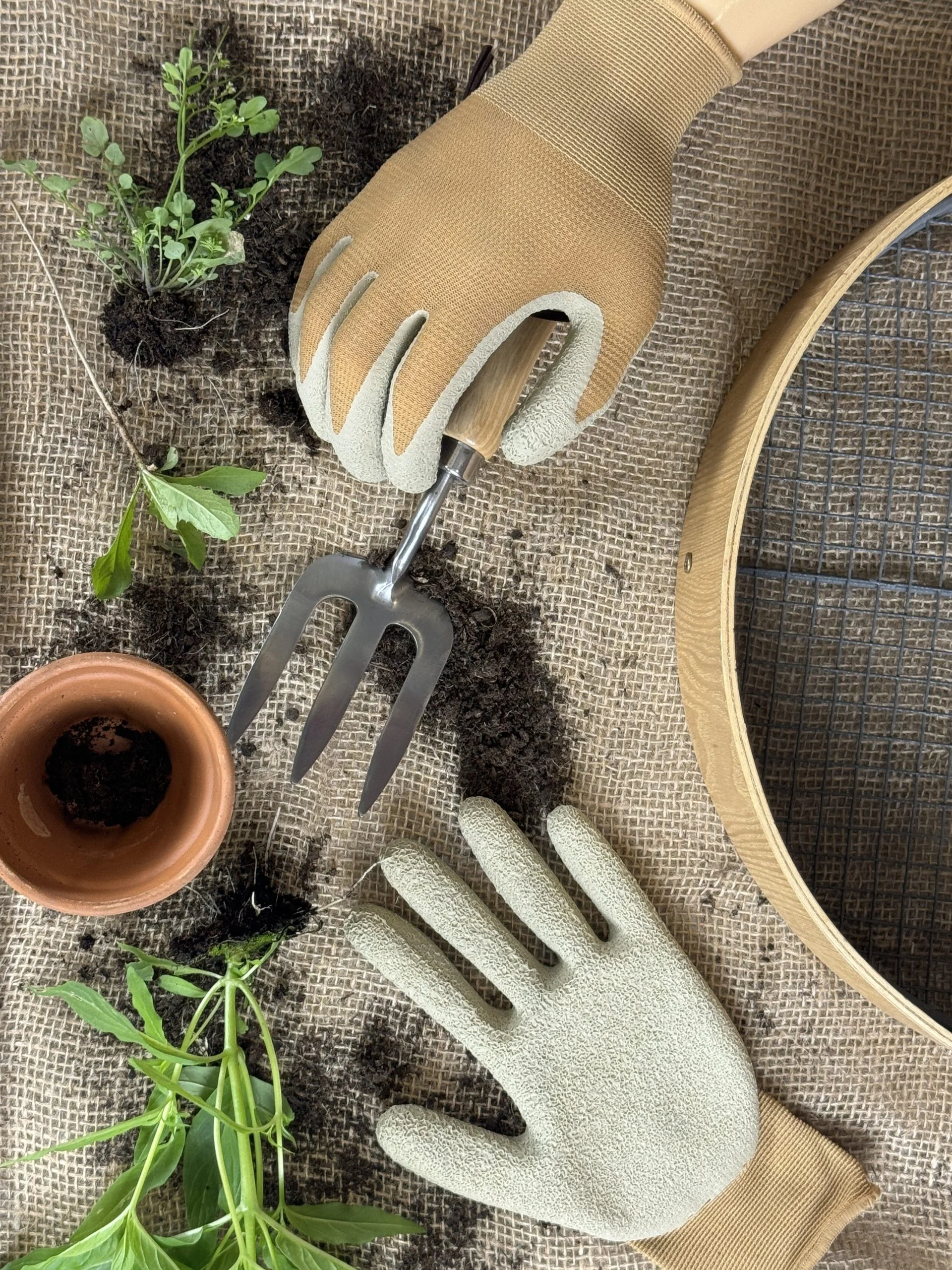 Treadstone Aspen - The One For Weeding - Image 2