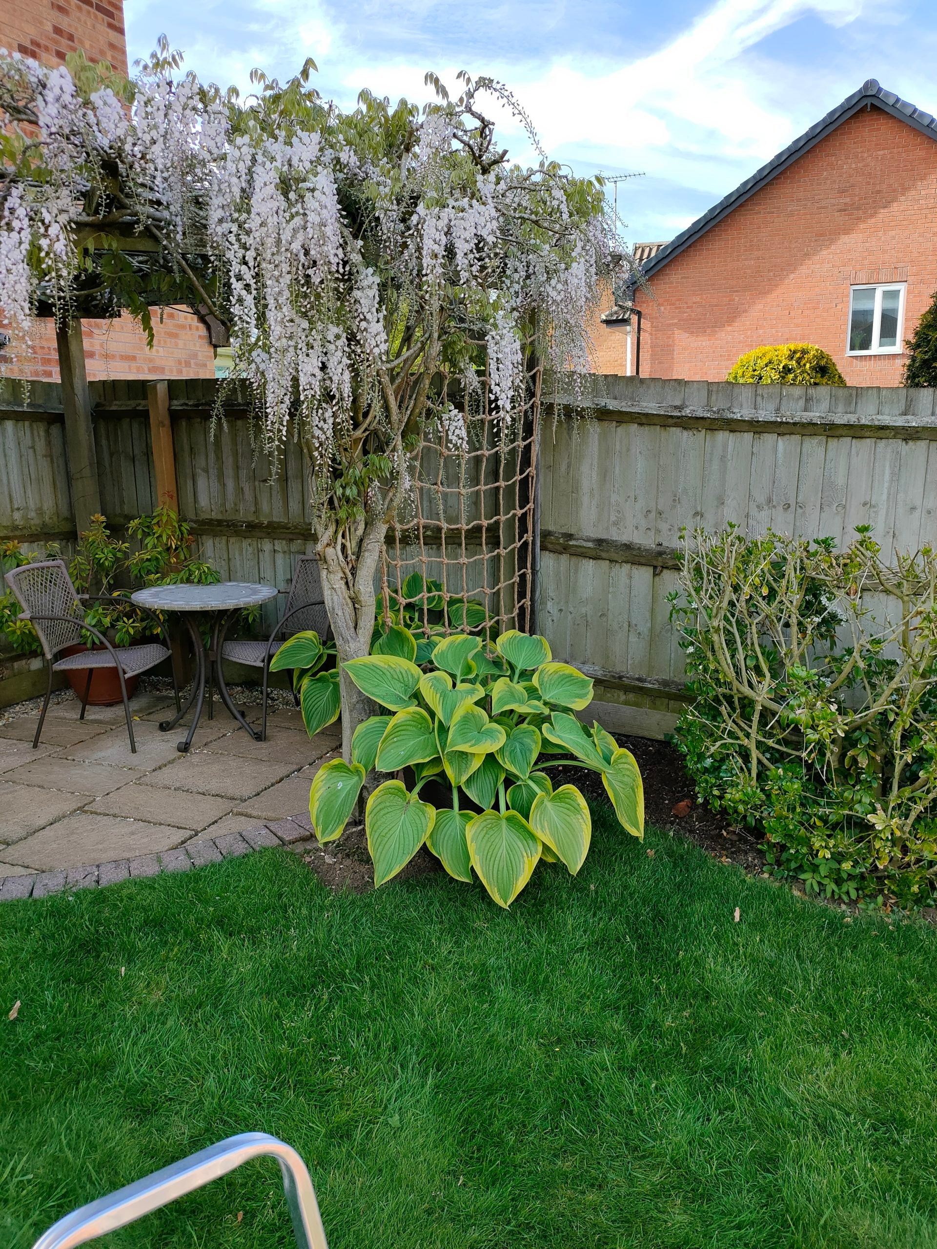 Treadstone Rope Trellis - Image 3