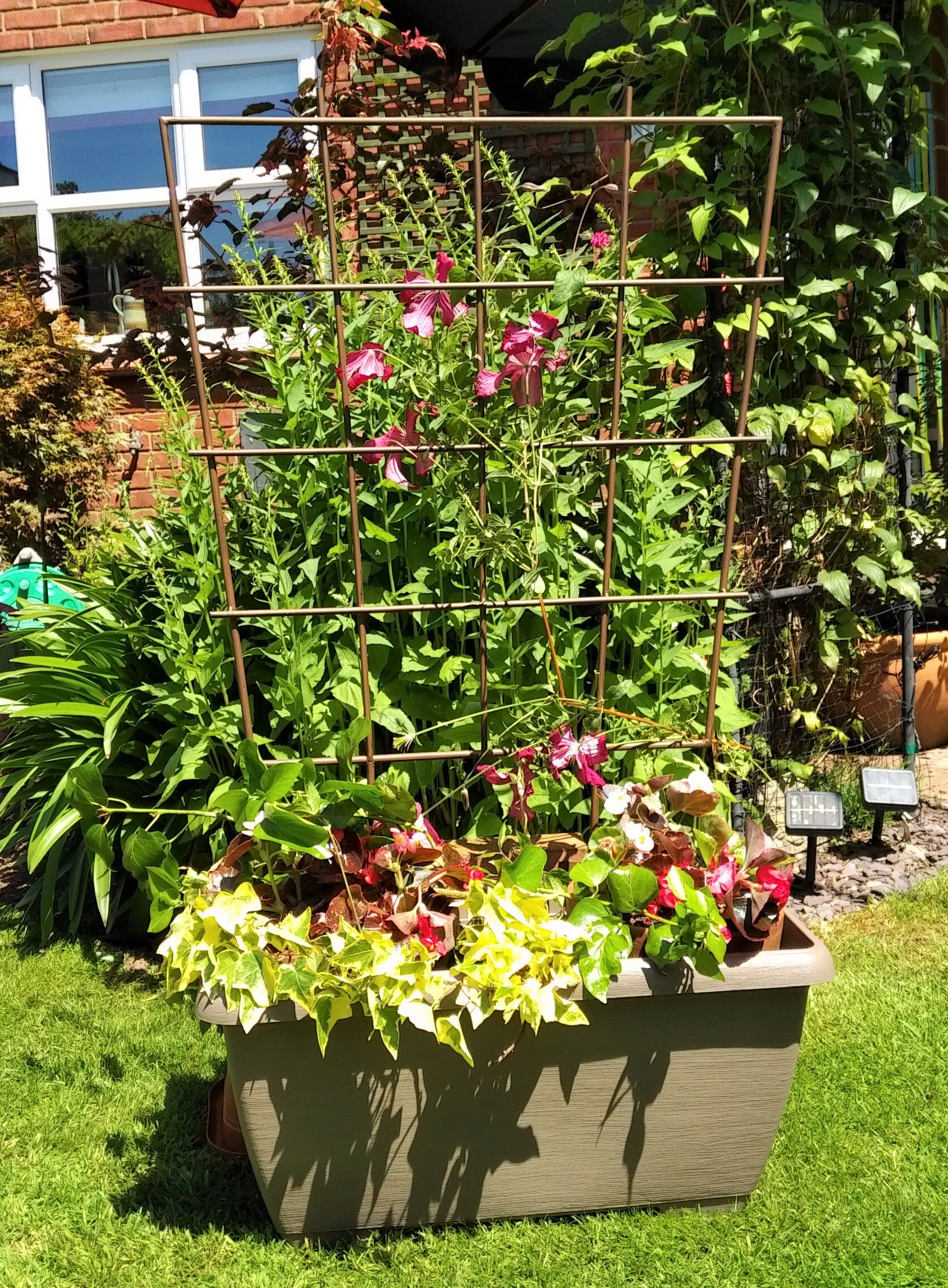 Treadstone Trough Trellis - Image 3
