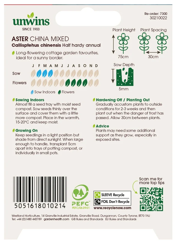 Unwins Aster China Mixed Seeds - Image 2