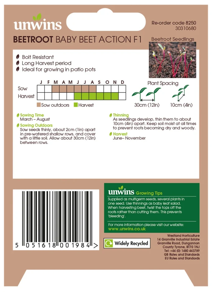 Unwins Round Beetroot Baby Beet Action F1 Seeds - Image 2