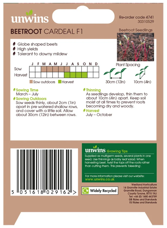 Unwins Round Beetroot Cardeal F1 Seeds - Image 2