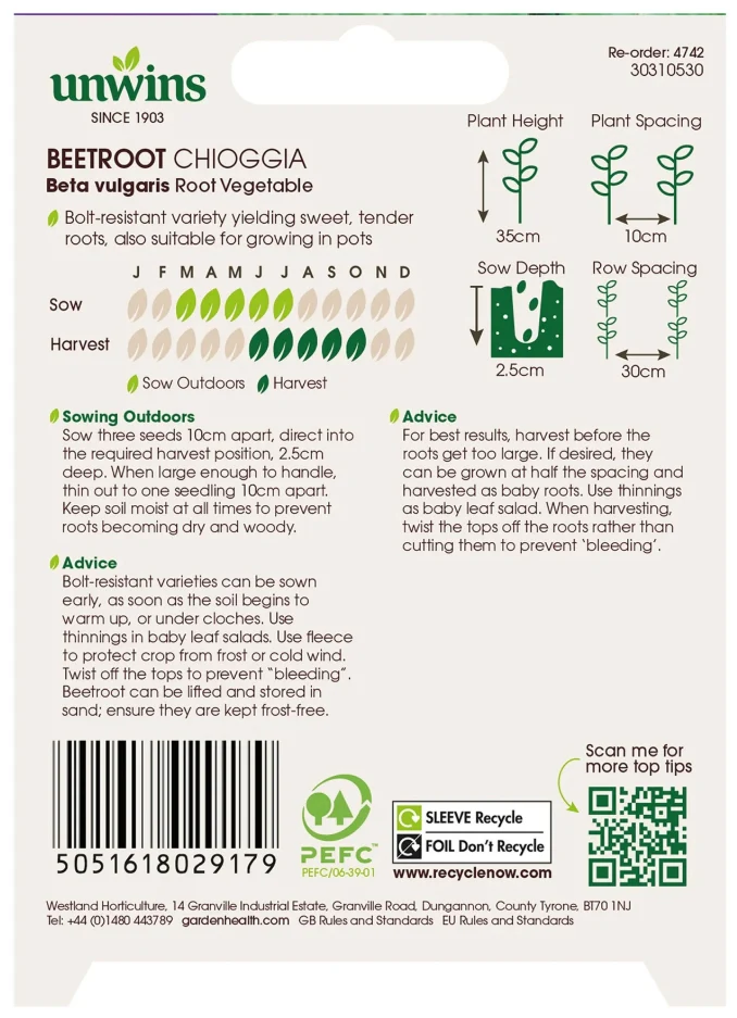 Unwins Beetroot Chioggia Seeds - Image 2