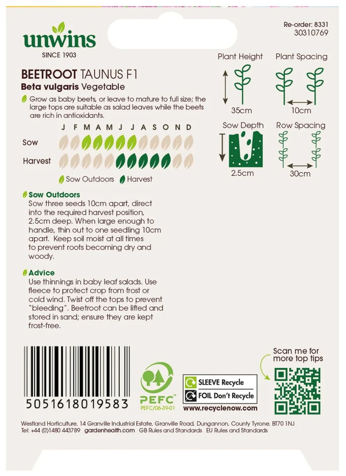Unwins Beetroot Taunus F1 Seeds - Image 2