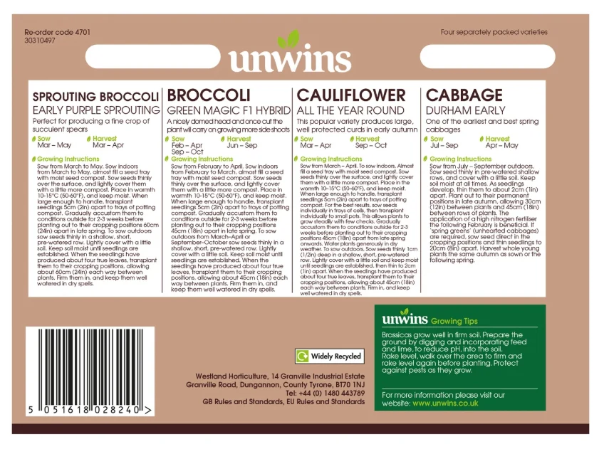 Unwins Brassica Collection Pack Seeds - Image 2