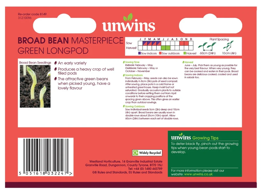 Unwins Broad Bean Masterpiece Green Longpod Seeds - Image 2