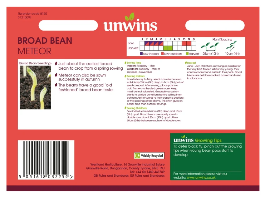 Unwins Broad Bean Meteor Seeds - Image 2