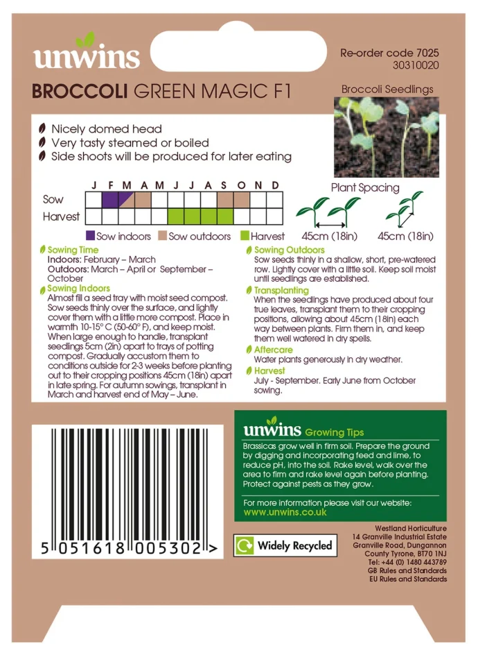 Unwins Calabrese Broccoli Green Magic F1 Seeds - Image 2