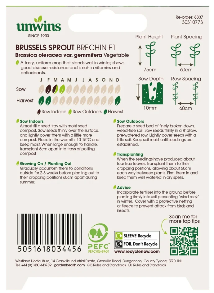 Unwins Brussels Sprout Brechin F1 Seeds - Image 2