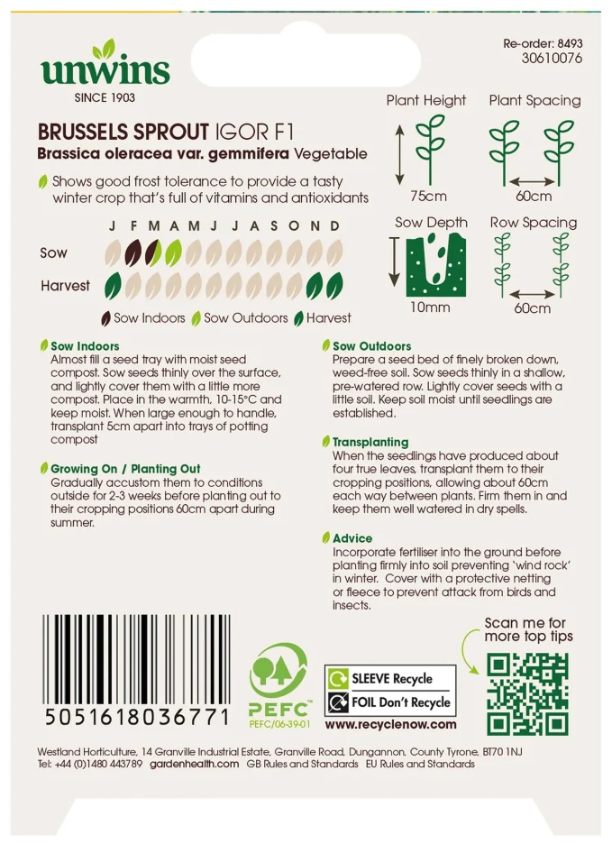Unwins Organic Brussels Sprout Igor F1 Seeds - Image 2