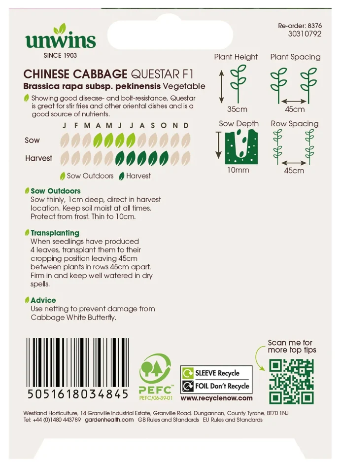 Unwins Chinese Cabbage Questar F1 Seeds - Image 2