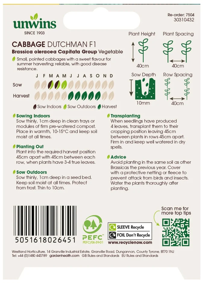 Unwins Cabbage Dutchman F1 Seeds - Image 2