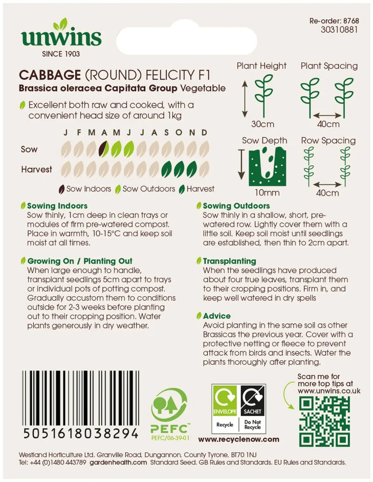 Unwins Round Cabbage Felicity F1 Seeds - Image 2