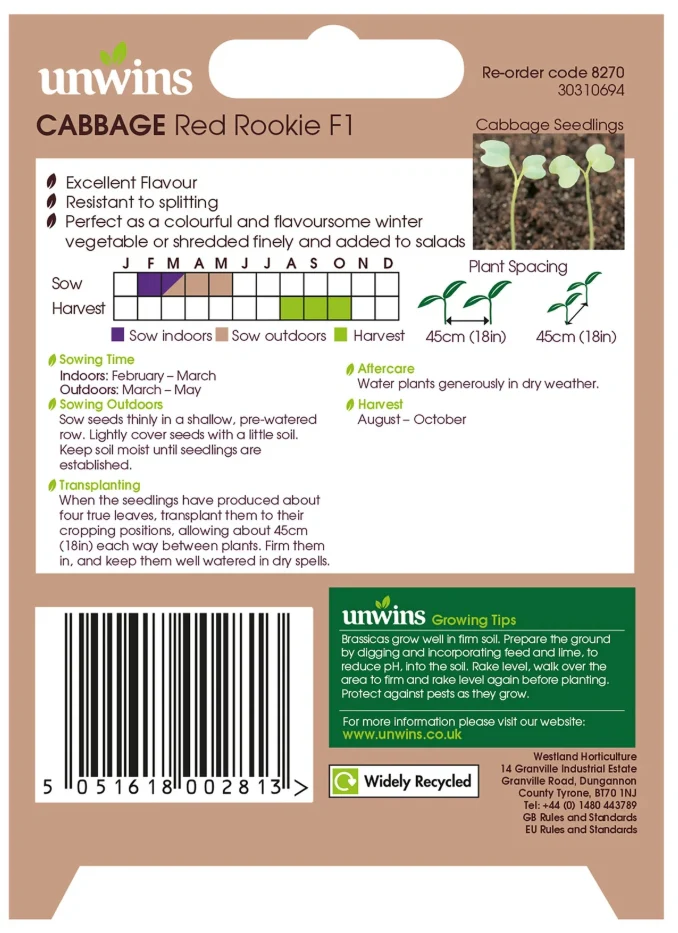 Unwins Round Cabbage Red Rookie F1 Seeds - Image 2