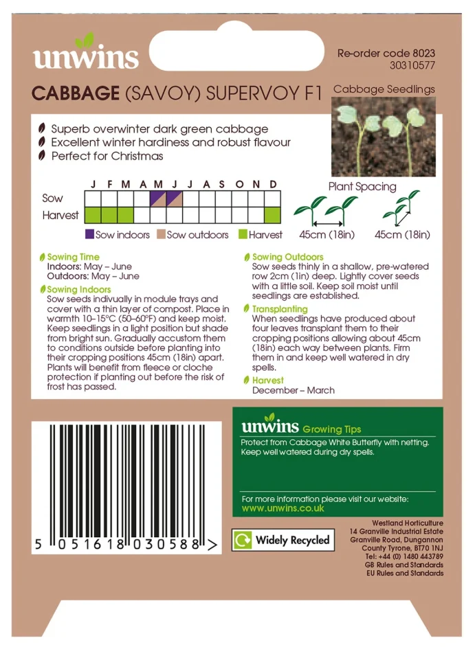 Unwins Savoy Cabbage Supervoy F1 Seeds - Image 2