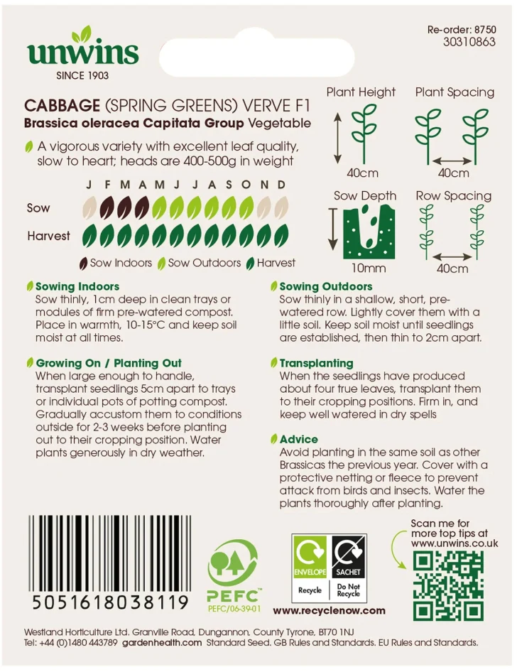 Unwins Spring Greens Cabbage Verve F1 Seeds - Image 2