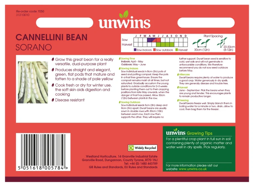 Unwins Cannellini Bean Sorano Seeds - Image 2