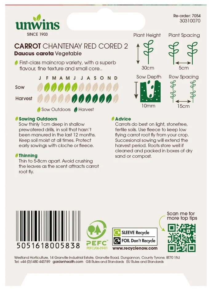 Unwins Carrot Chantenay Red Cored 2 Seeds - Image 2