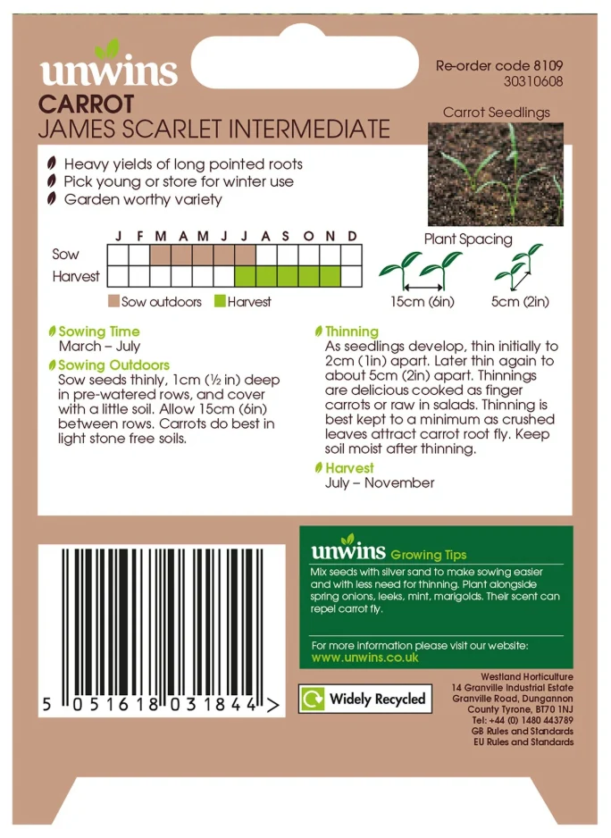 Unwins Carrot James Scarlet Intermediate Seeds - Image 2