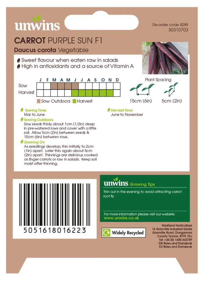 Unwins Carrot Purple Sun Seeds - Image 2