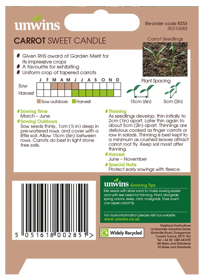 Unwins Carrot Sweet Candle Seeds - Image 2