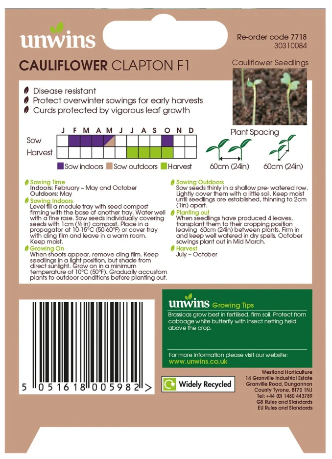 Unwins Cauliflower Clapton F1 Seeds - Image 2