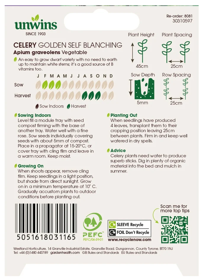 Unwins Celery Golden Self Blanching Seeds - Image 2