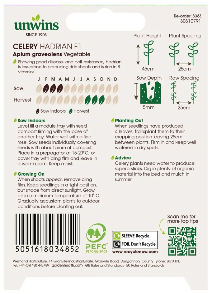 Unwins Celery Hadrian F1 Seeds - Image 2