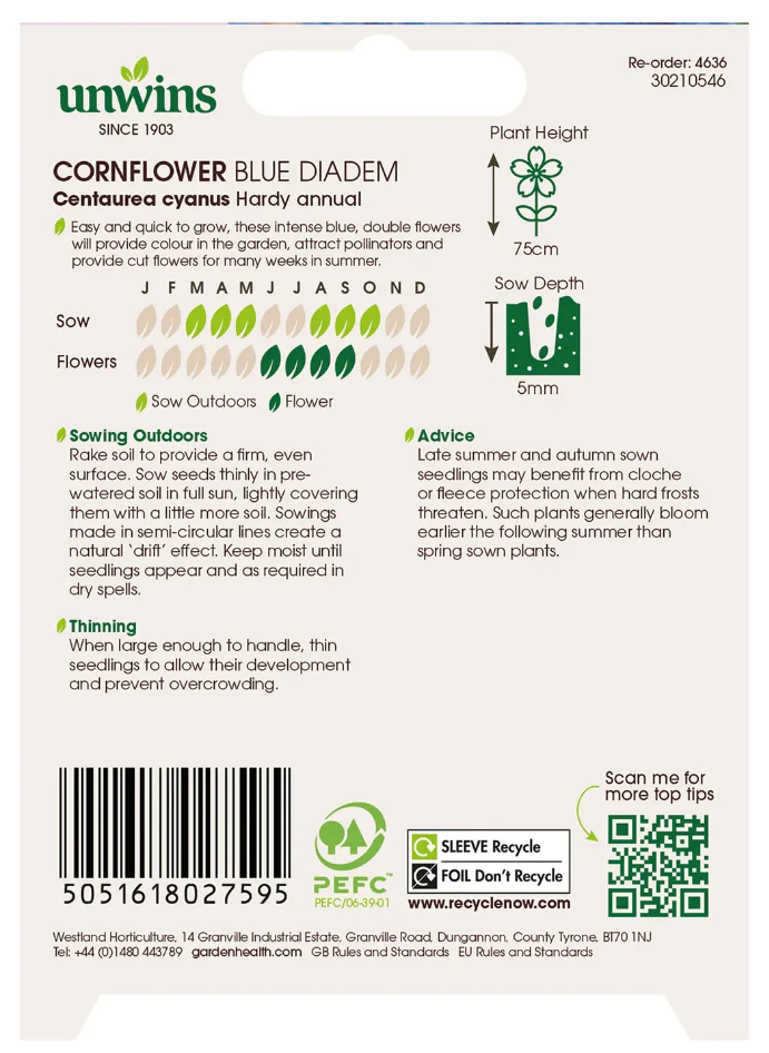 Unwins Cornflower Blue Diadem Seeds - Image 2