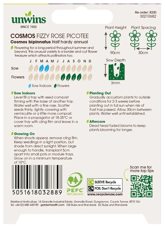 Unwins Cosmos Fizzy Rose Picotee Seeds - Image 2