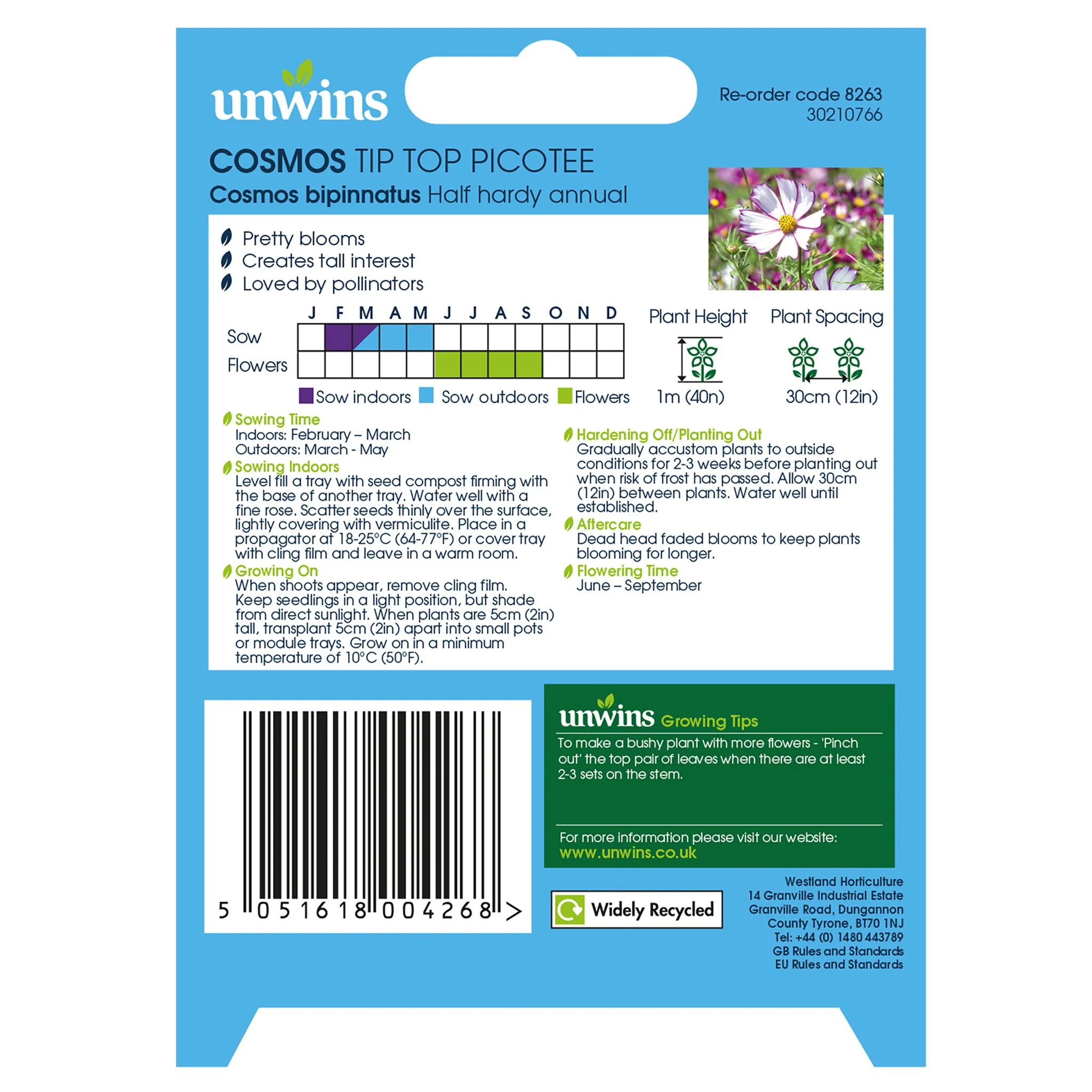 Unwins Cosmos Tip Top Picotee Seeds - Image 2