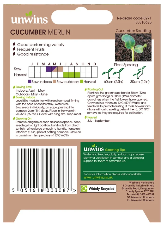 Unwins Cucumber Merlin Seeds - Image 2