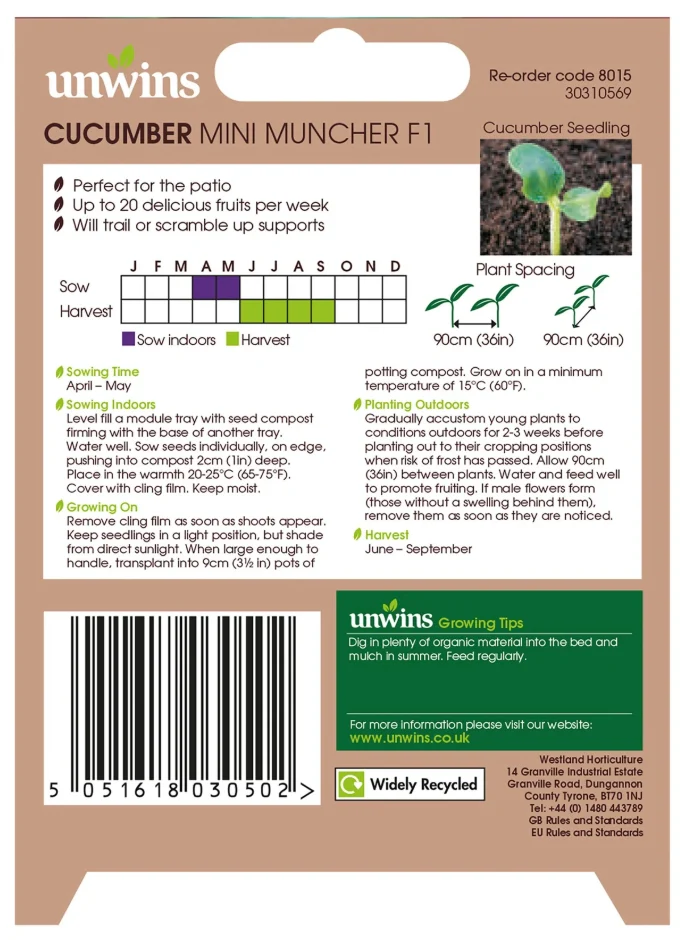 Unwins Mini Cucumber Mini Muncher F1 Seeds - Image 2