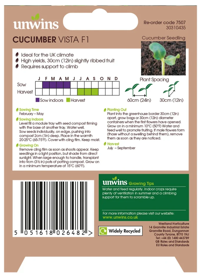 Unwins Cucumber Vista F1 Seeds - Image 2