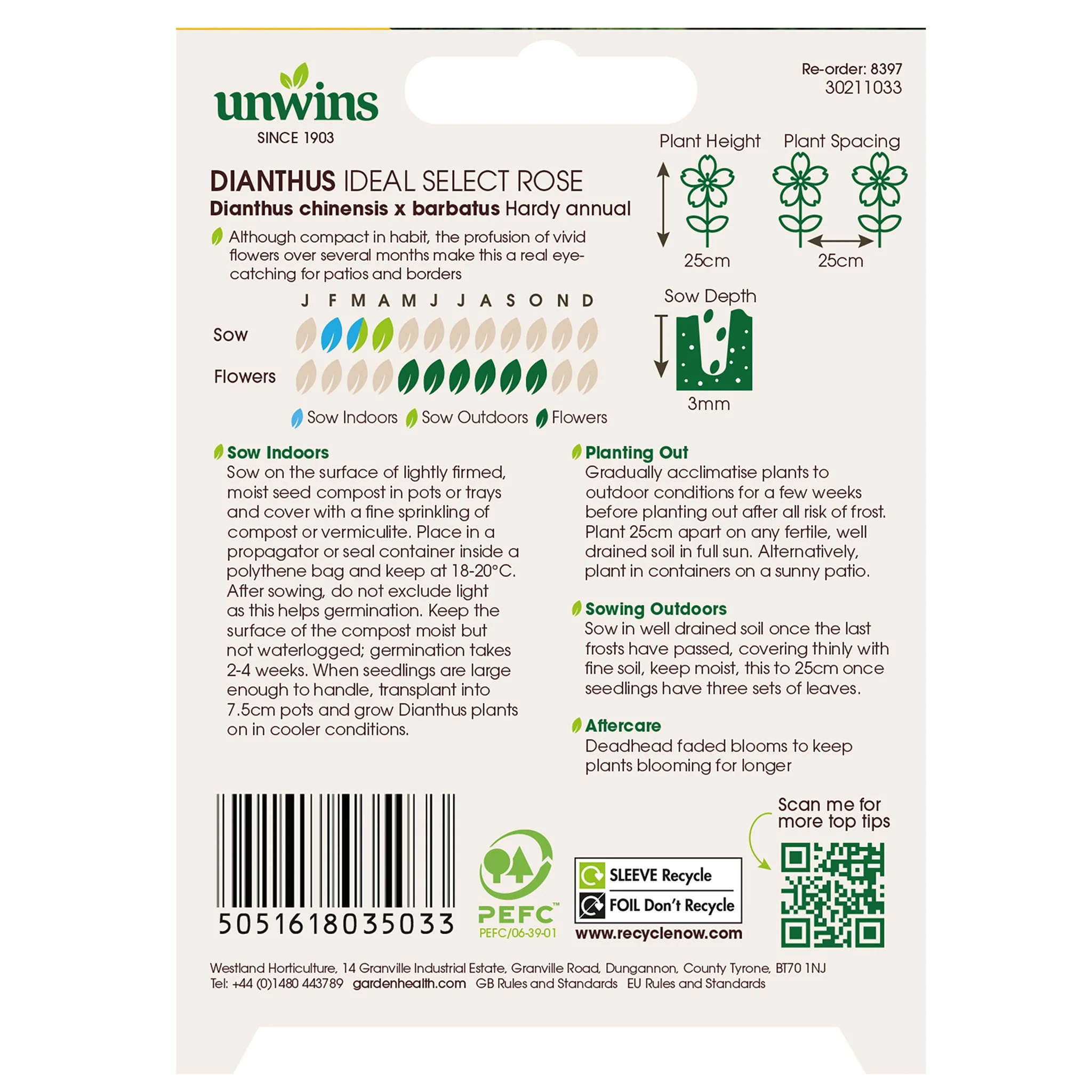 Unwins Dianthus Ideal Select Rose Seeds - Image 2