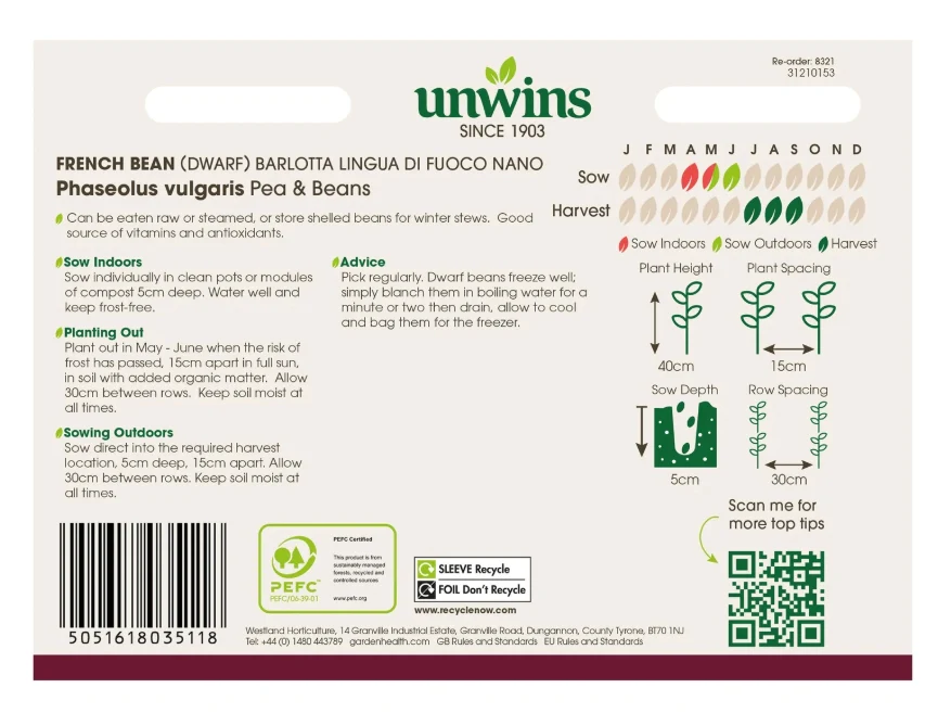 Unwins Dwarf French Bean Barlotta Lingua di Fuoco Nano Seeds - Image 2