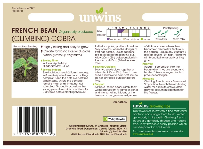 Unwins Organic Climbing French Bean Cobra Seeds - Image 2