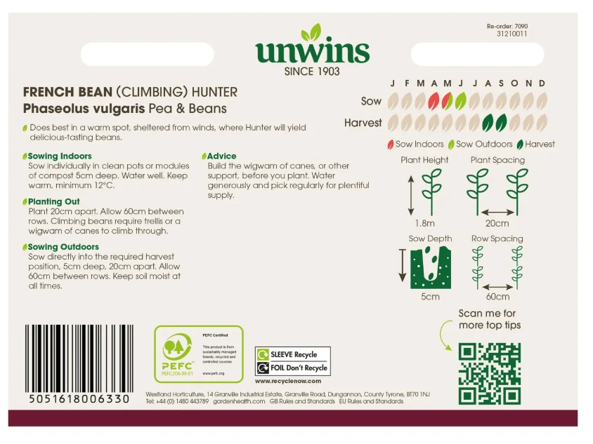 Unwins Climbing French Bean Hunter Seeds - Image 2