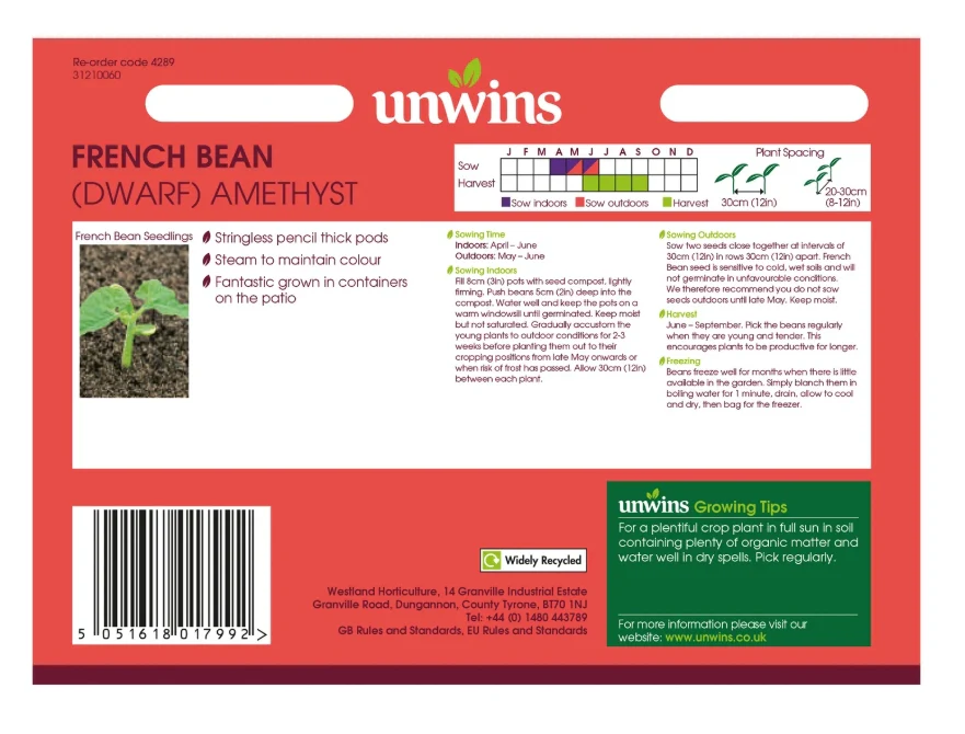 Unwins Dwarf French Bean Amethyst Seeds - Image 2