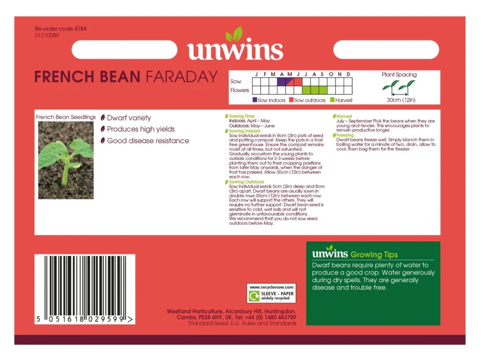 Unwins Dwarf French Bean Faraday Seeds - Image 2