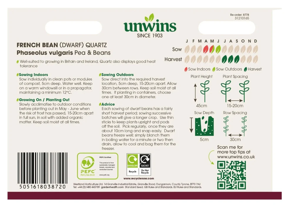 Unwins Dwarf French Bean Quartz Seeds - Image 2