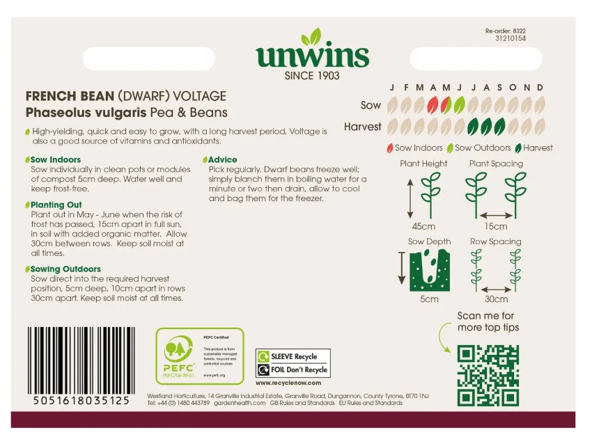 Unwins Dwarf French Bean Voltage Seeds - Image 2