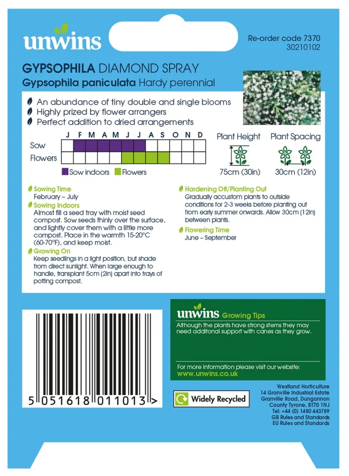 Unwins Gypsophila Diamond Spray Seeds - Image 2
