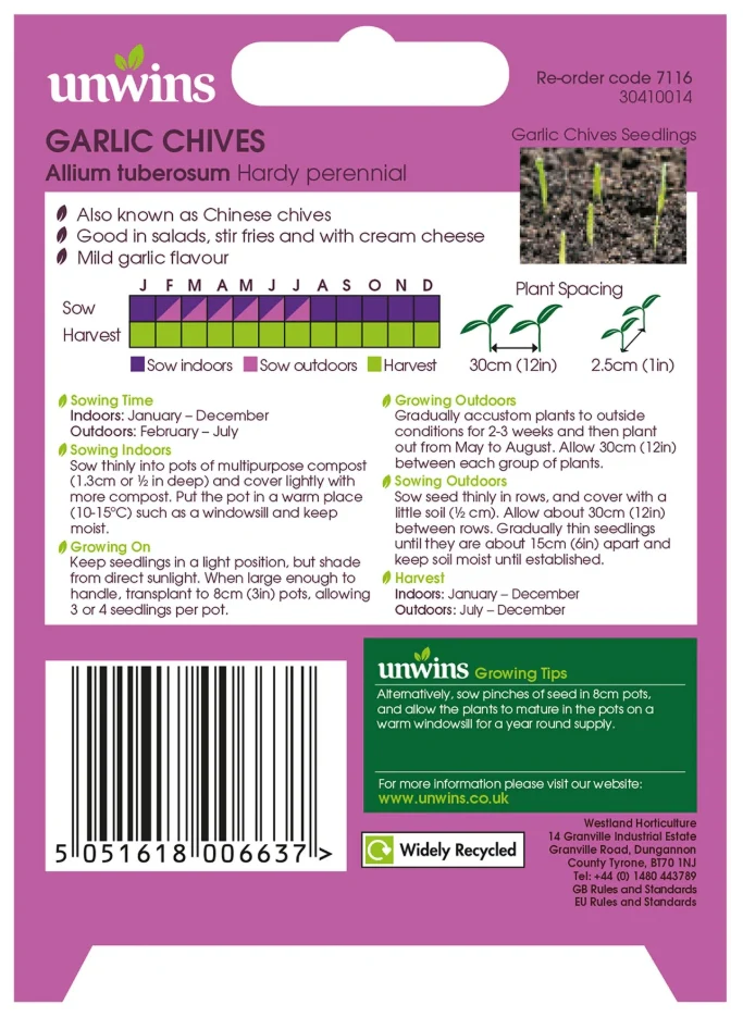 Unwins Garlic Chives Seeds - Image 2