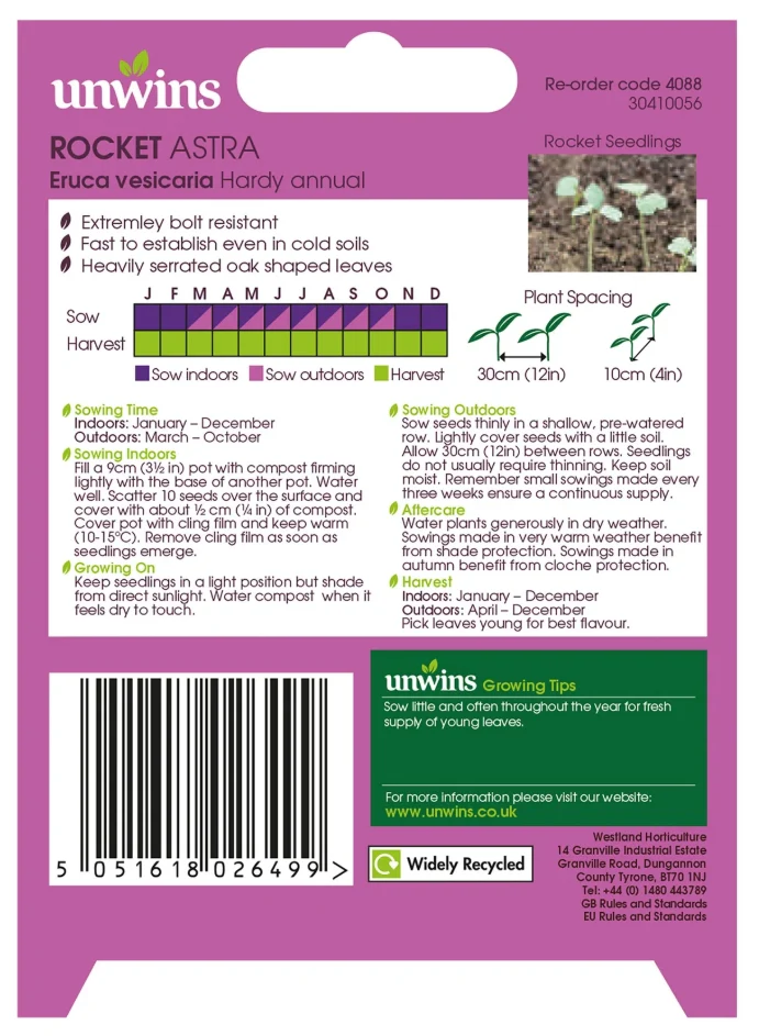 Unwins Rocket Astra Seeds - Image 2