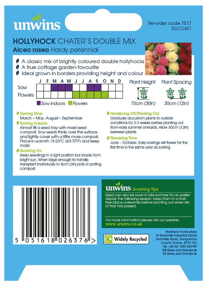 Unwins Hollyhock Chaters Double Seeds - Image 2