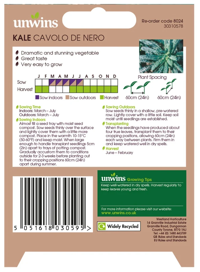 Unwins Kale Cavolo De Nero Seeds - Image 2
