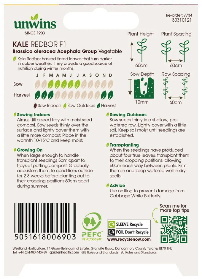 Unwins Kale Redbor F1 Seeds - Image 2