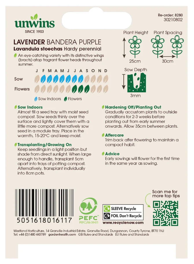 Unwins Lavender Bandera Purple Seeds - Image 2